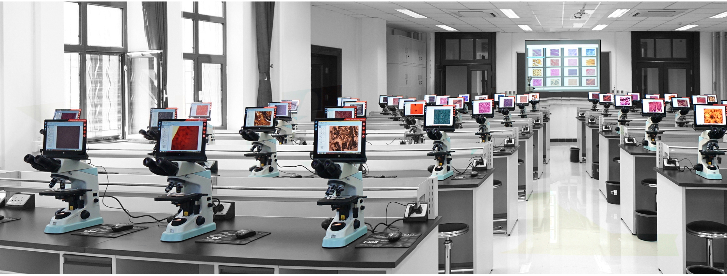 Meizs osi������΢���߻�������