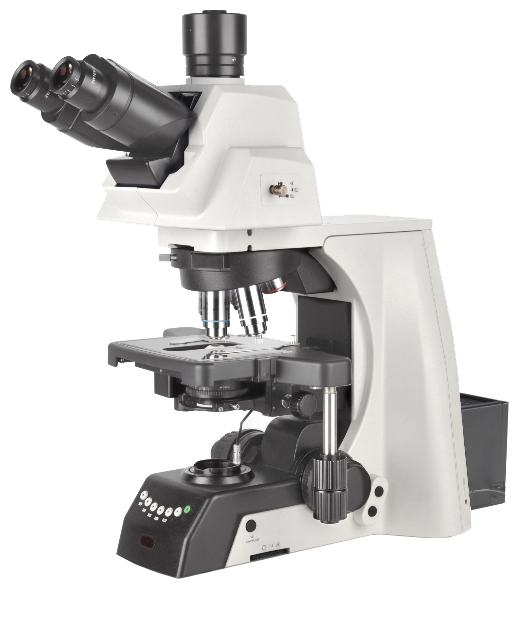 NE930���м��綯������΢��