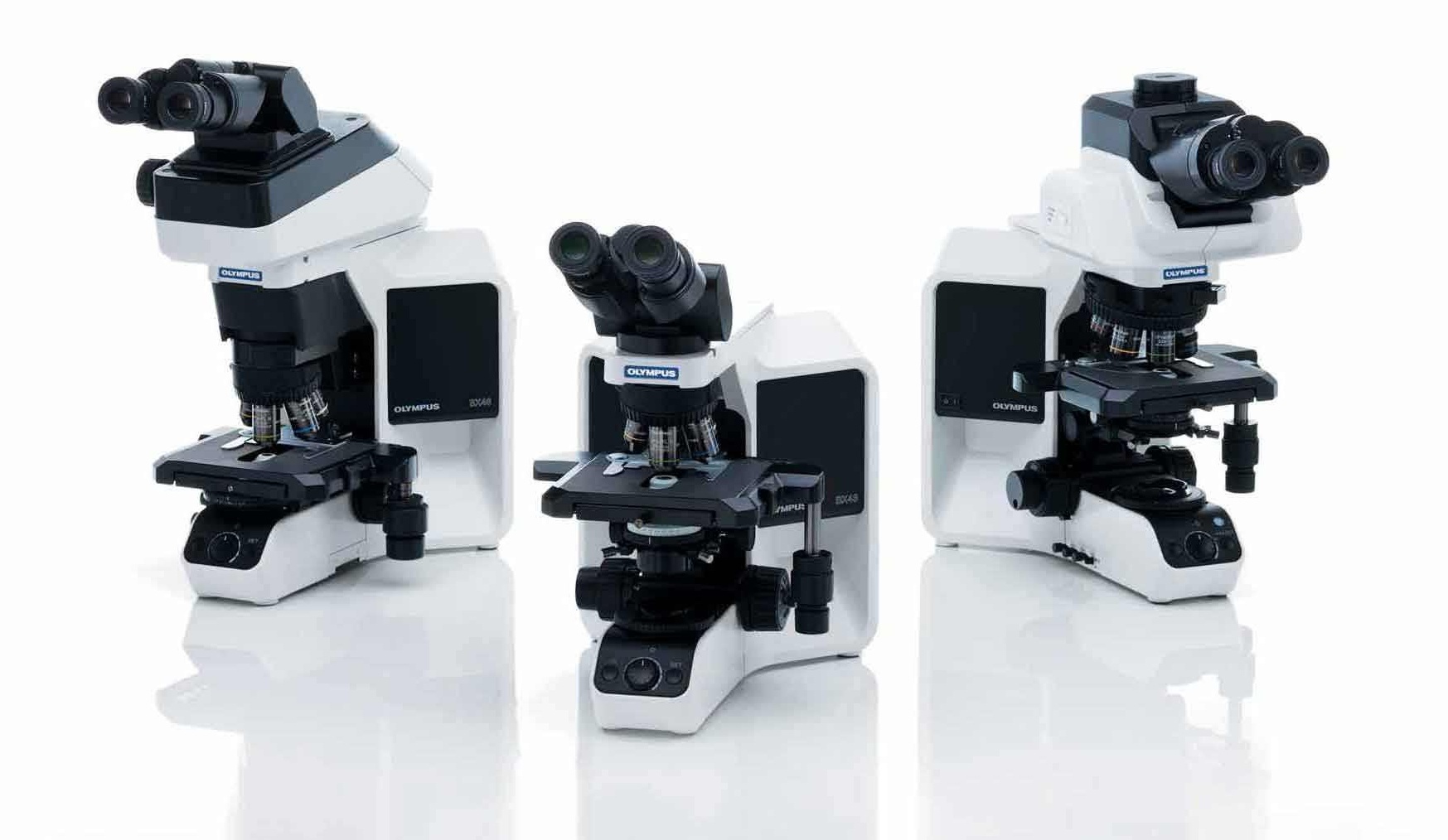 BX43���ְ�˹������΢��