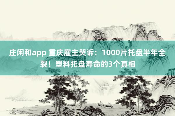 庄闲和app 重庆雇主哭诉：1000片托盘半年全裂！塑料托盘寿命的3个真相