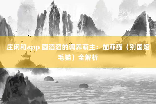 庄闲和app 圆滔滔的调养萌主：加菲猫（别国短毛猫）全解析