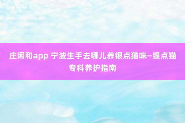 庄闲和app 宁波生手去哪儿养银点猫咪—银点猫专科养护指南