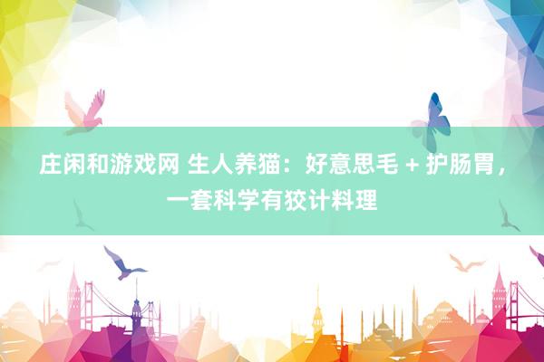 庄闲和游戏网 生人养猫：好意思毛 + 护肠胃，一套科学有狡计料理