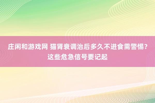 庄闲和游戏网 猫肾衰调治后多久不进食需警惕？这些危急信号要记起