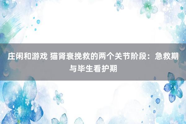 庄闲和游戏 猫肾衰挽救的两个关节阶段：急救期与毕生看护期