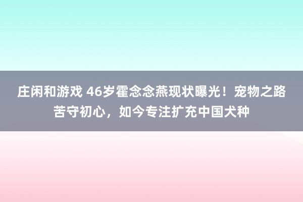 庄闲和游戏 46岁霍念念燕现状曝光！宠物之路苦守初心，如今专注扩充中国犬种
