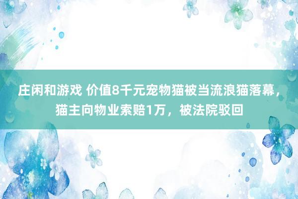 庄闲和游戏 价值8千元宠物猫被当流浪猫落幕，猫主向物业索赔1万，被法院驳回