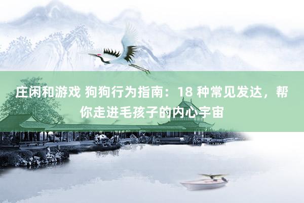 庄闲和游戏 狗狗行为指南：18 种常见发达，帮你走进毛孩子的内心宇宙