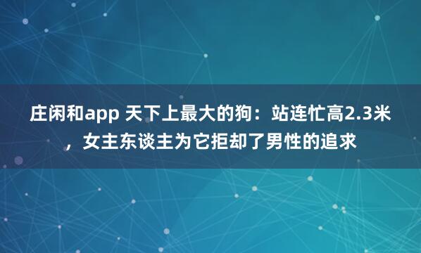 庄闲和app 天下上最大的狗：站连忙高2.3米，女主东谈主为它拒却了男性的追求