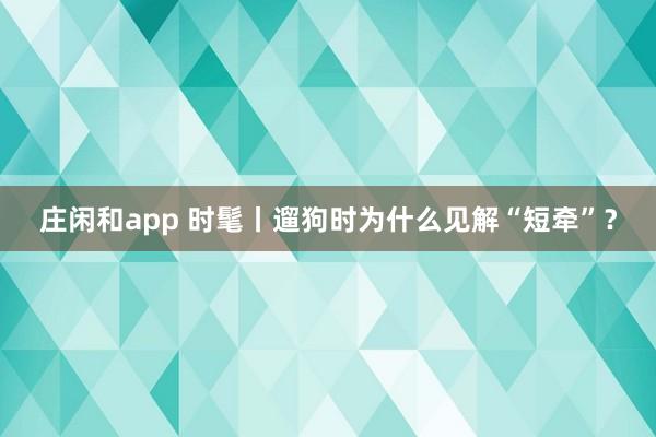 庄闲和app 时髦丨遛狗时为什么见解“短牵”？