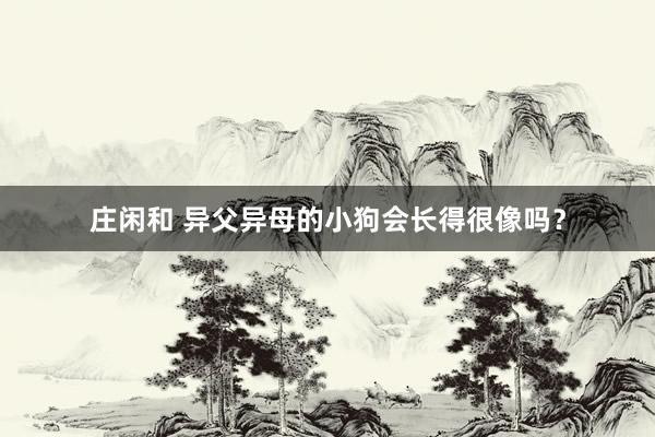 庄闲和 异父异母的小狗会长得很像吗？