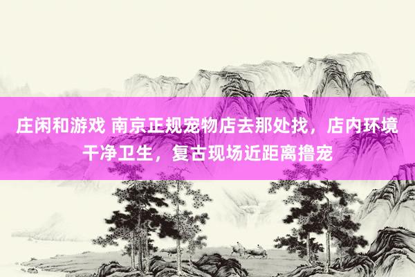 庄闲和游戏 南京正规宠物店去那处找，店内环境干净卫生，复古现场近距离撸宠