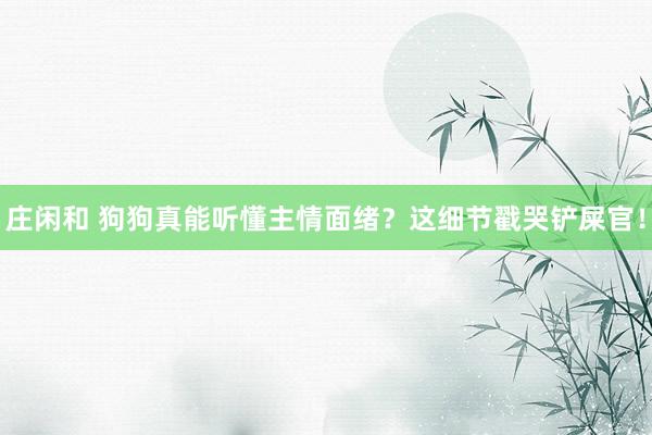 庄闲和 狗狗真能听懂主情面绪？这细节戳哭铲屎官！