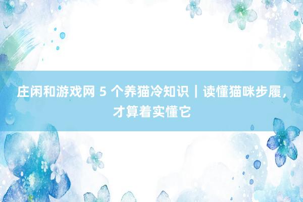 庄闲和游戏网 5 个养猫冷知识｜读懂猫咪步履，才算着实懂它