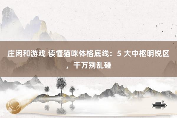 庄闲和游戏 读懂猫咪体格底线：5 大中枢明锐区，千万别乱碰