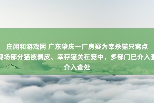 庄闲和游戏网 广东肇庆一厂房疑为宰杀猫只窝点，现场部分猫被剥皮、幸存猫关在笼中，多部门已介入查处