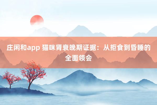 庄闲和app 猫咪肾衰晚期证据：从拒食到昏睡的全面领会