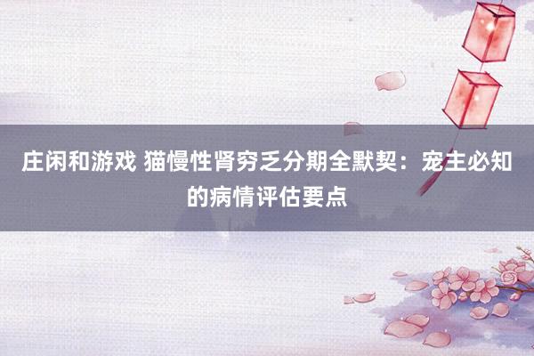 庄闲和游戏 猫慢性肾穷乏分期全默契：宠主必知的病情评估要点