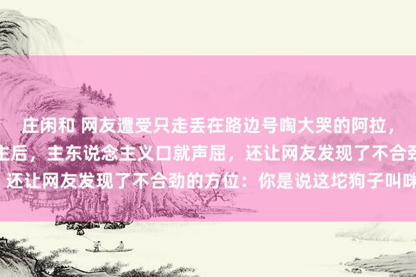 庄闲和 网友遭受只走丢在路边号啕大哭的阿拉，关爱报警寻找主东说念主后，主东说念主义口就声屈，还让网友发现了不合劲的方位：你是说这坨狗子叫咪咪？