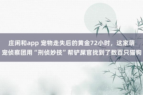 庄闲和app 宠物走失后的黄金72小时，这家萌宠侦察团用“刑侦妙技”帮铲屎官找到了数百只猫狗