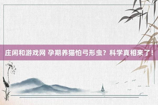 庄闲和游戏网 孕期养猫怕弓形虫？科学真相来了！