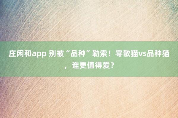 庄闲和app 别被“品种”勒索！零散猫vs品种猫，谁更值得爱？