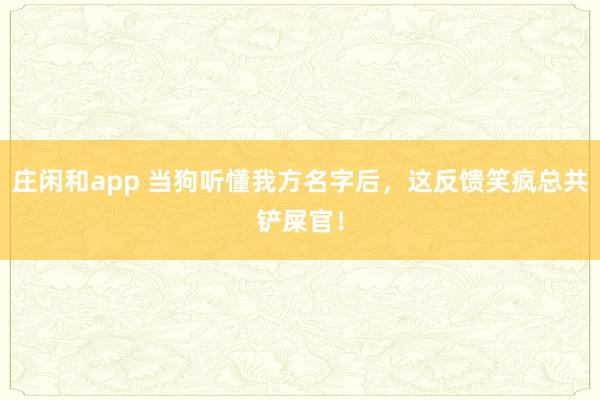 庄闲和app 当狗听懂我方名字后，这反馈笑疯总共铲屎官！