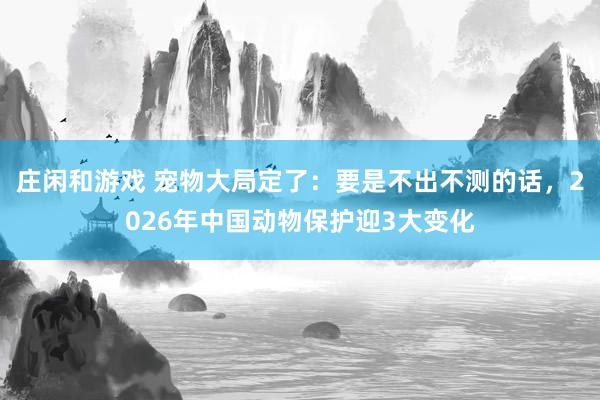 庄闲和游戏 宠物大局定了：要是不出不测的话，2026年中国动物保护迎3大变化