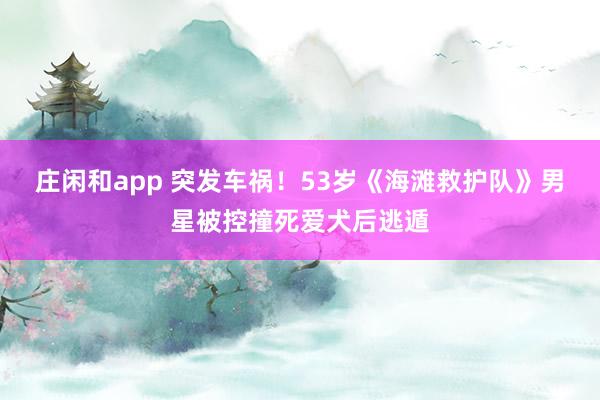 庄闲和app 突发车祸！53岁《海滩救护队》男星被控撞死爱犬后逃遁
