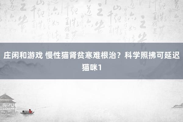 庄闲和游戏 慢性猫肾贫寒难根治？科学照拂可延迟猫咪1