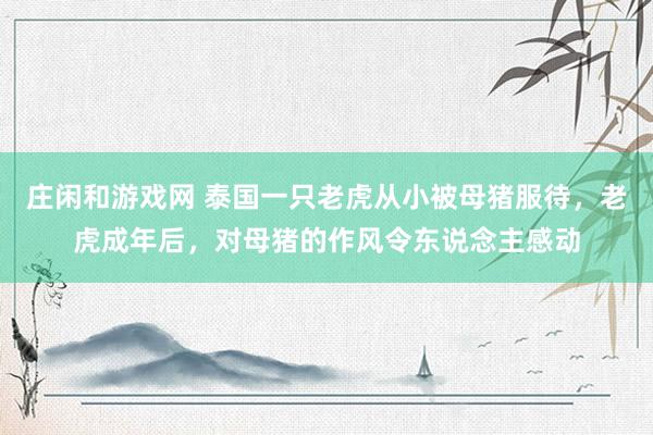 庄闲和游戏网 泰国一只老虎从小被母猪服待，老虎成年后，对母猪的作风令东说念主感动